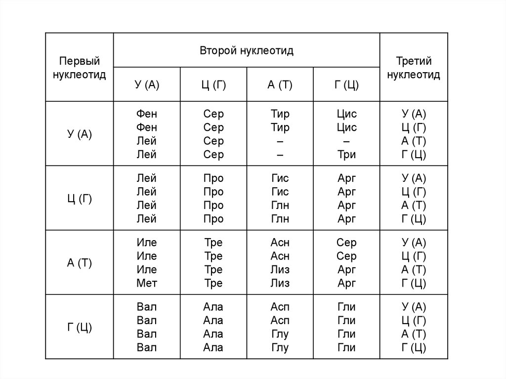 Белковый код. Генетический код таблица биология 10 класс. Генетический код Биосинтез белка таблица. Таблица генетического кода ДНК И РНК. Таблица генетического кода по биологии 10 класс.