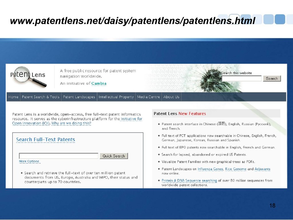 Worldwide Patent. Патентный поиск фото. Patent Family Group.