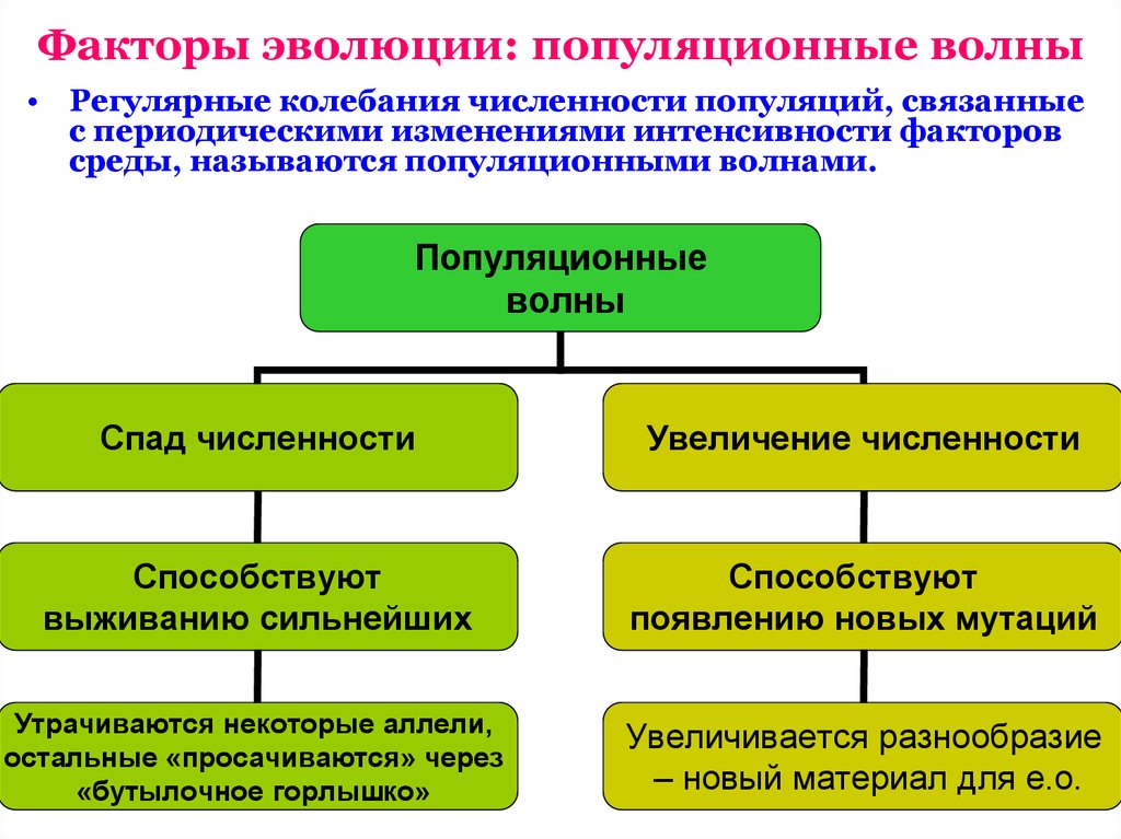 Схема многообразие элементарных эволюционных факторов