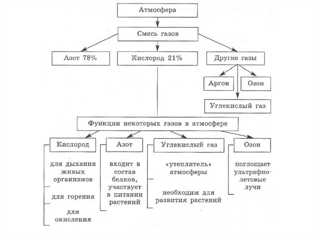 Используя текст учебника составьте схему структуры