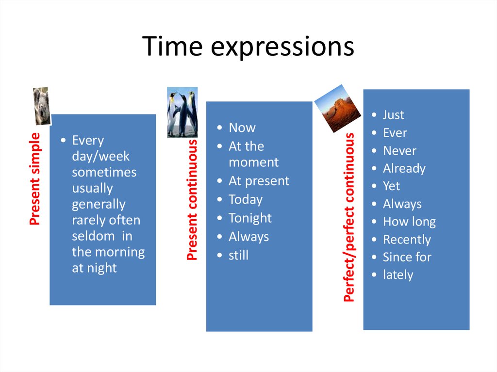 Every day perfect. Present Continuous time expressions. Time expressions present simple. Past Continuous  времена time expressions. Past perfect времена time expressions.