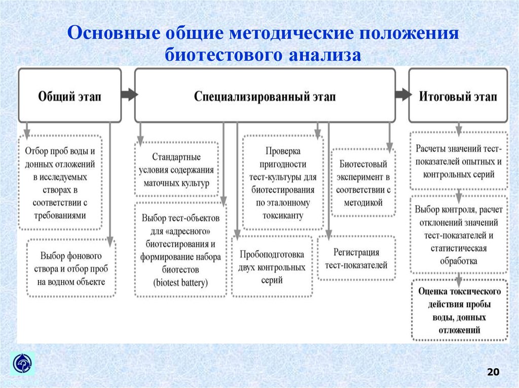 Обще методический. Методы биотестирования схема. Основные методические положения. Методы биотестирования на основе микроорганизмов. Основные подходы биотестирования.