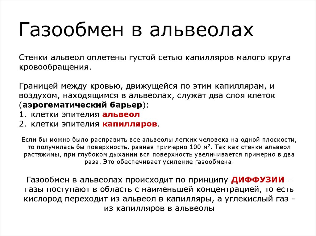 Обмен газов между легочным воздухом и. Газообмен между альвеолярным воздухом и кровью. Газообмен между альвеолярным воздухом и кровью капилляров легких.. Механизм обмена газов между альвеолярным воздухом и кровью. Обмен газами в альвеолах.