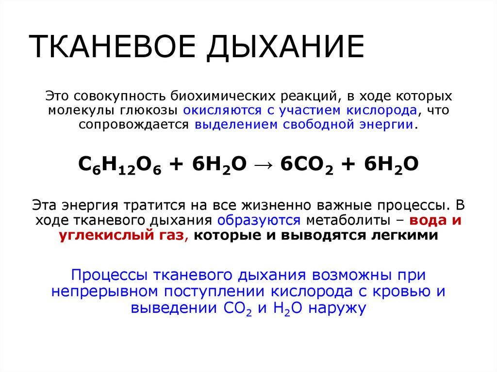 Биологический смысл процесса дыхания