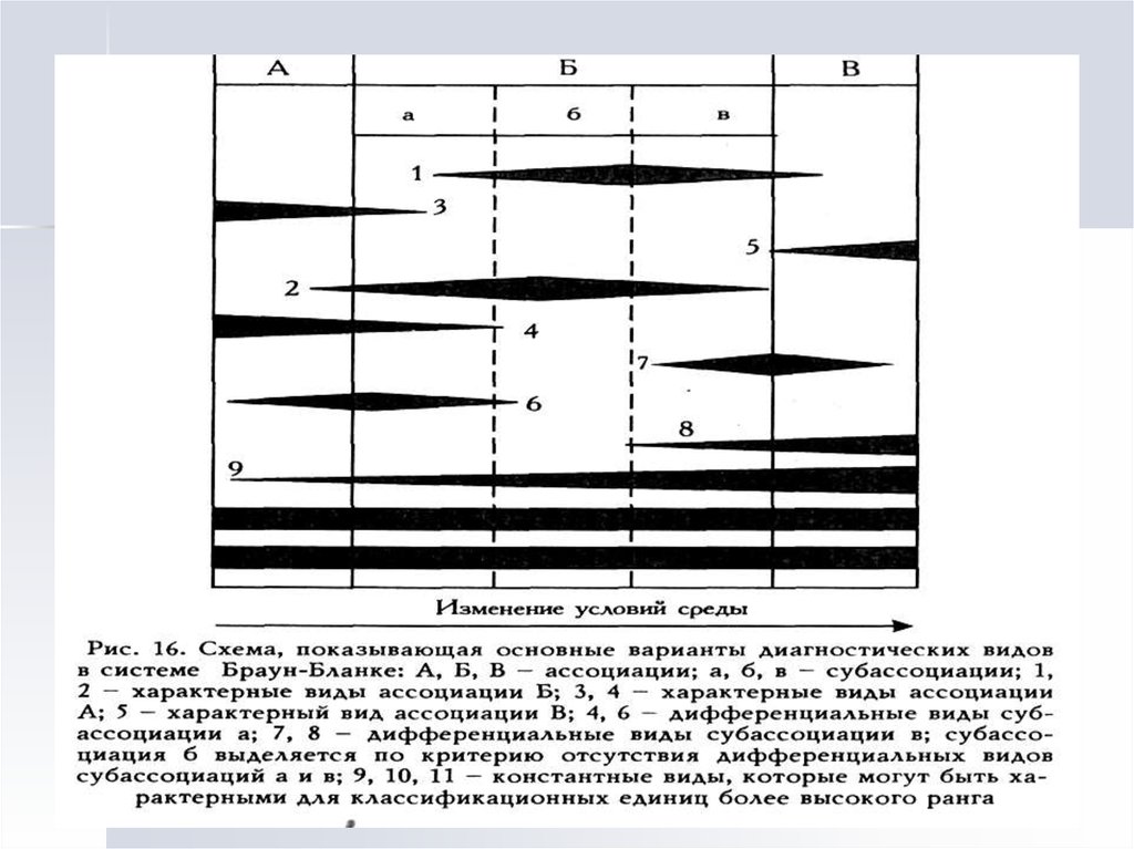 Система брауна. Классификация Браун бланке. Метод Браун бланке методика. Коэффициент Браун-бланке. Классификация Брауна бланке пример.