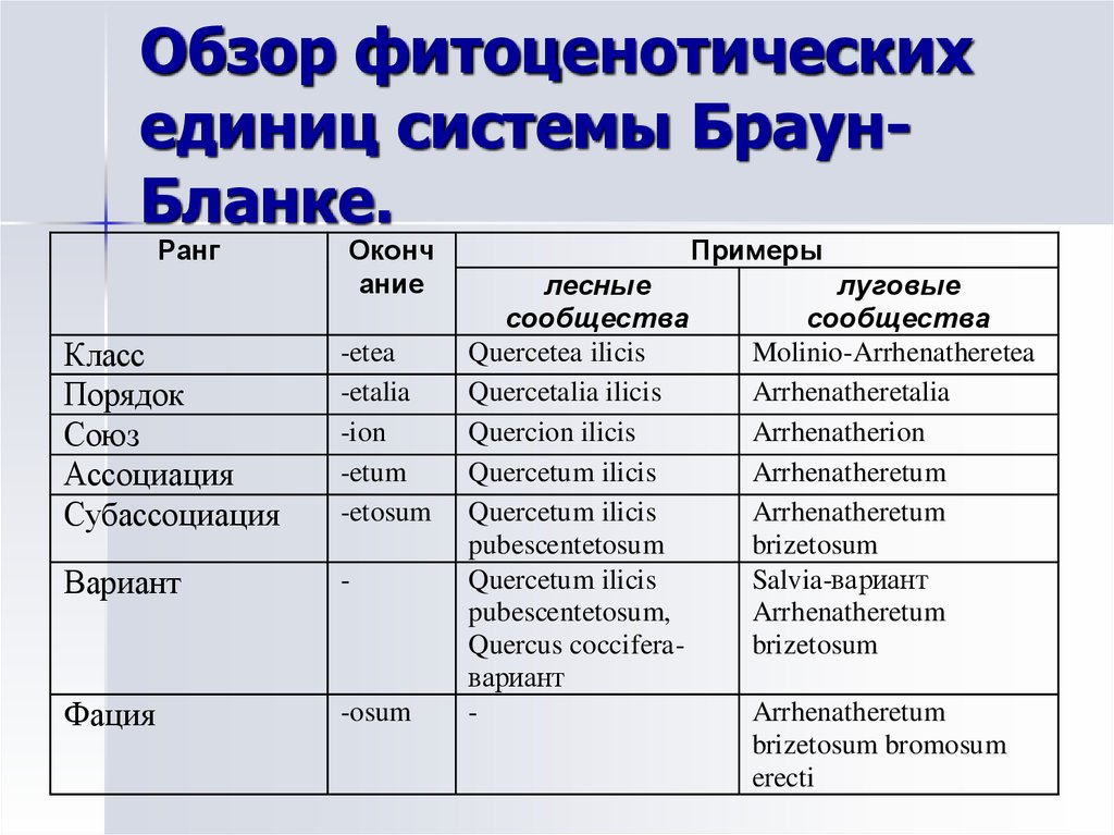 Система брауна. Браун бланке классификация растительности. Метод классификации растительности по Браун-бланке. Шкала Браун бланке. Эколого-флористическая классификация система Браун-бланке.