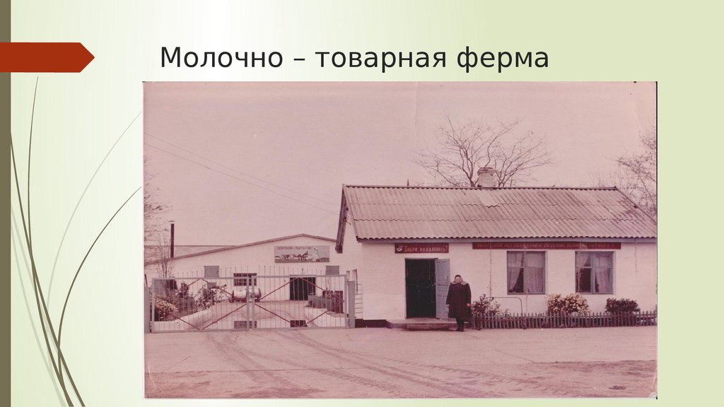 Молочно – товарная ферма