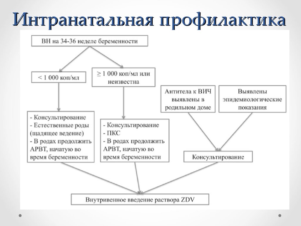 Вертикальный путь передачи инфекции