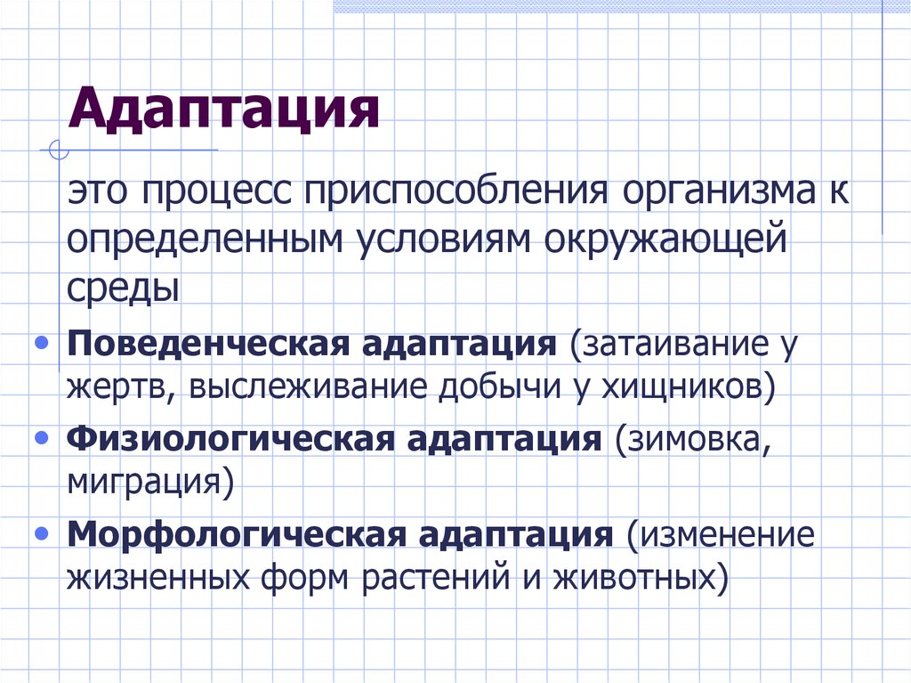 Адаптация это процесс приспособления к условиям среды. Поведенческие адаптации животных. Приспособление адаптация. Процесс приспособления организмов к определенным условиям среды. Адаптация это в патологии.