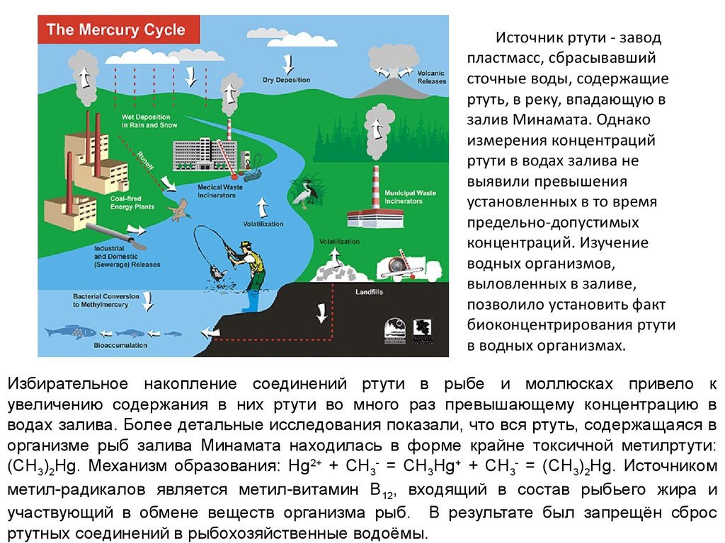 Утонет ли ртуть в воде