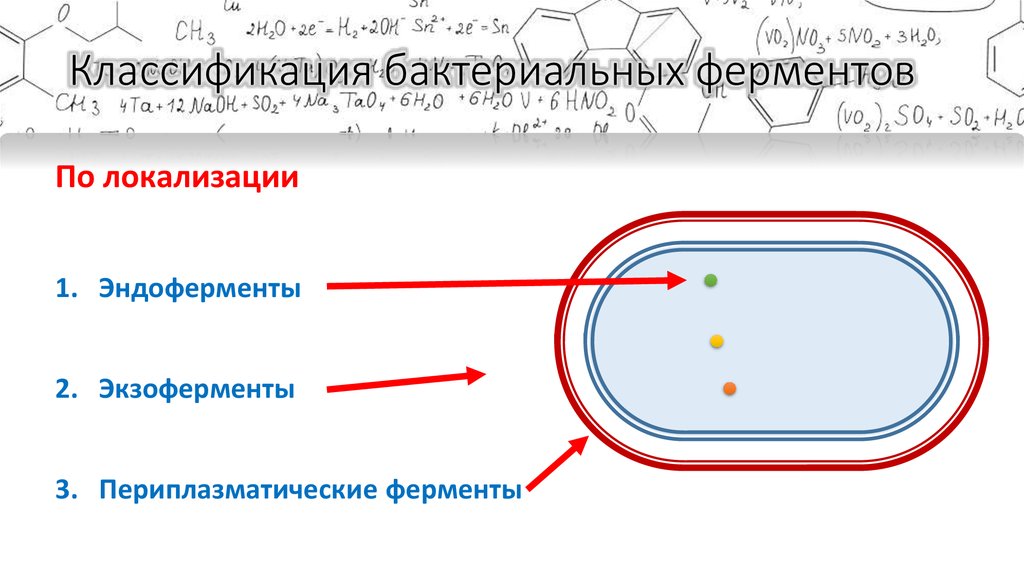 Классификация бактериальных ферментов