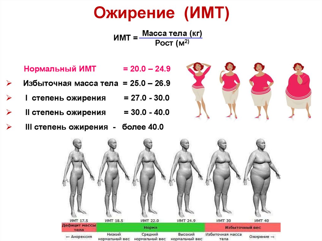 У человека 1 4 кг