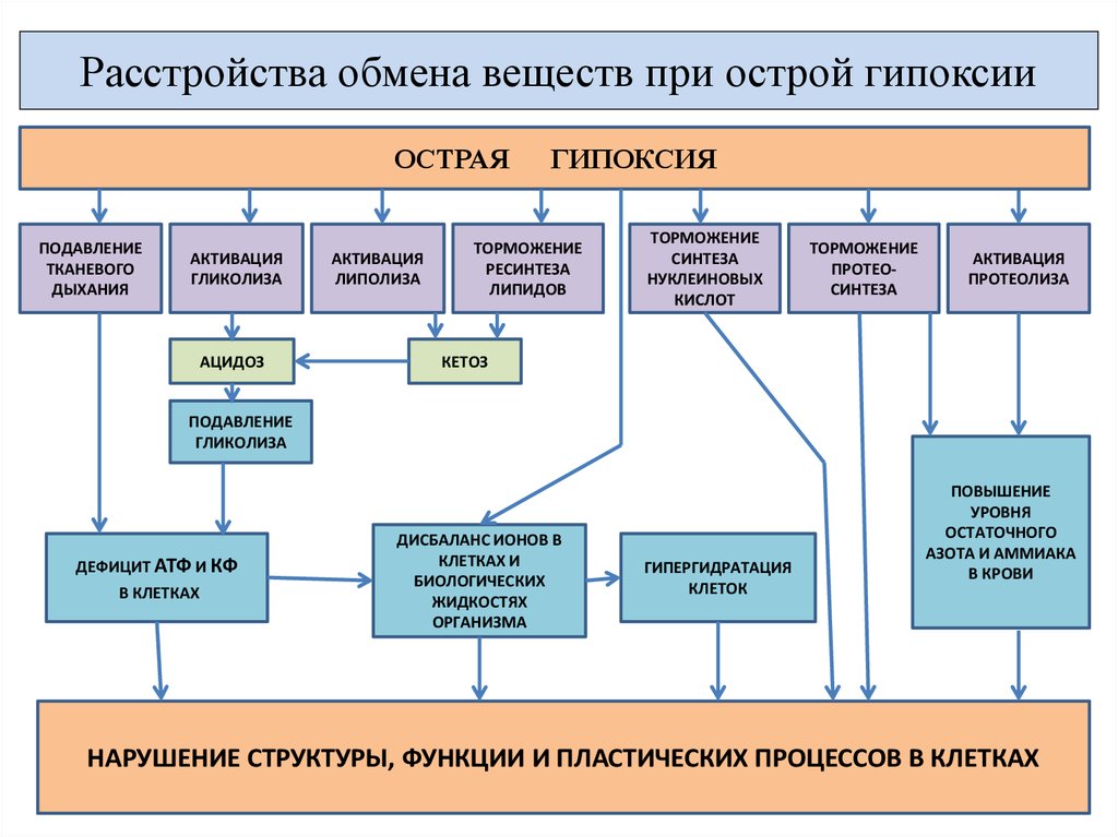 Функциональные нарушения организма. Расстройства функций организма при острой гипоксии. Нарушения в организме при гипоксии. Структурно-функциональные нарушения при гипоксии. Расстройства обмена веществ.