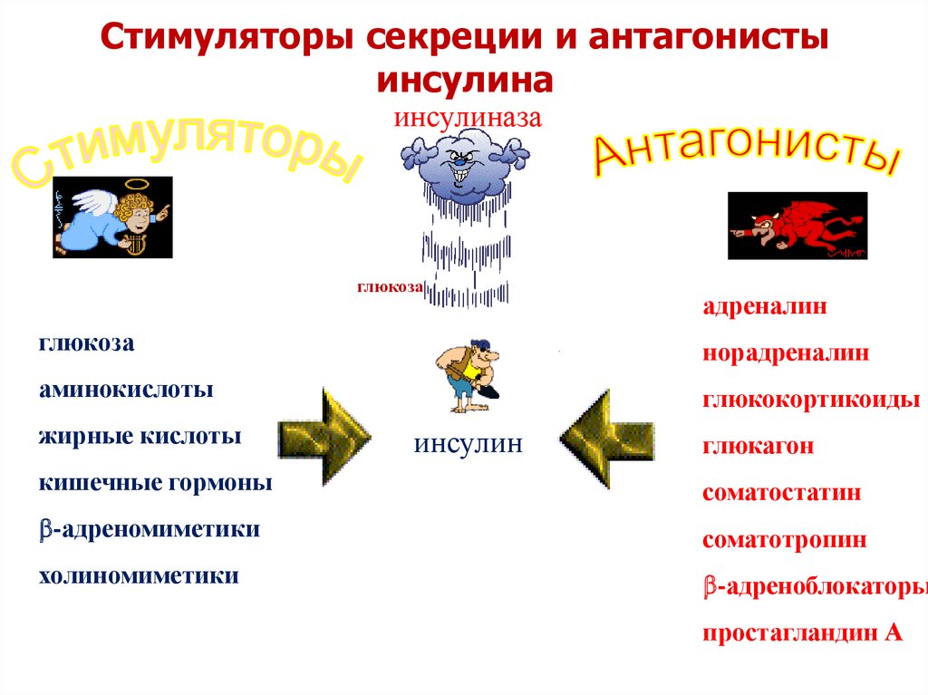 Стимулятор секреции