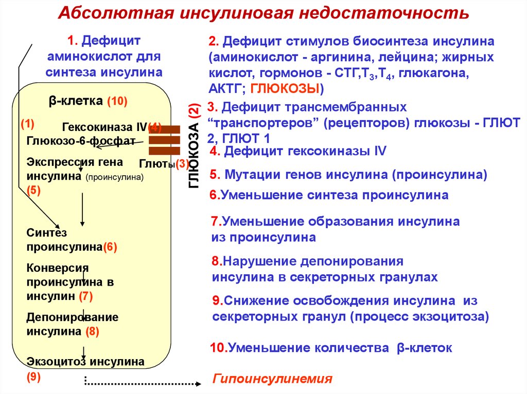 Ответы нмо инсулинотерапия