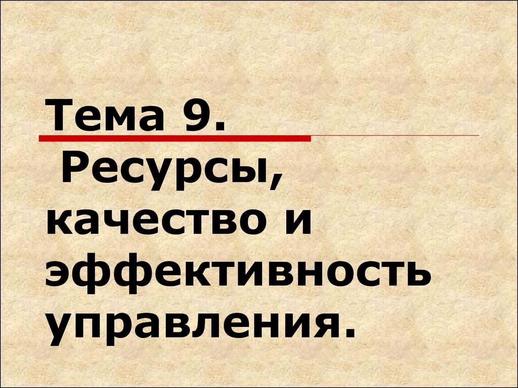 Лекция по теме Эффективность управления