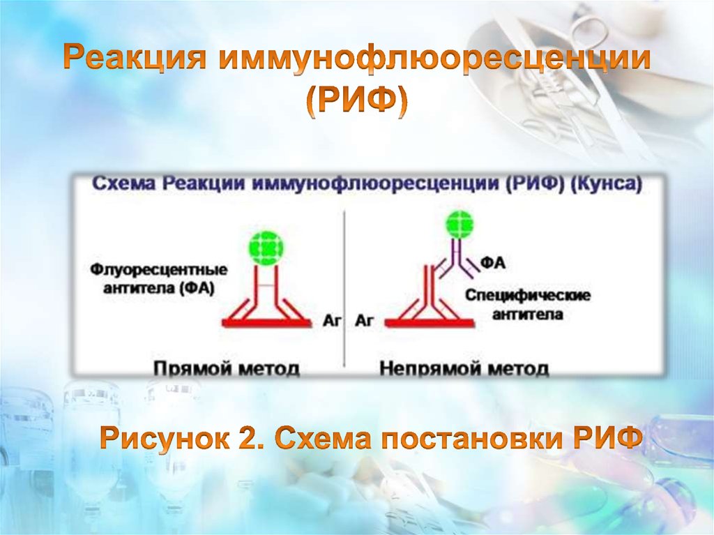 Риф это микробиология. Реакция иммунофлюоресценции (риф) (метод Кунса). Риф реакция иммунофлюоресценции. Реакция непрямой иммунофлюоресценции схема. Реакция иммунофлюоресценции схема.