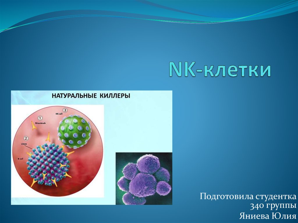 Естественные киллеры презентация