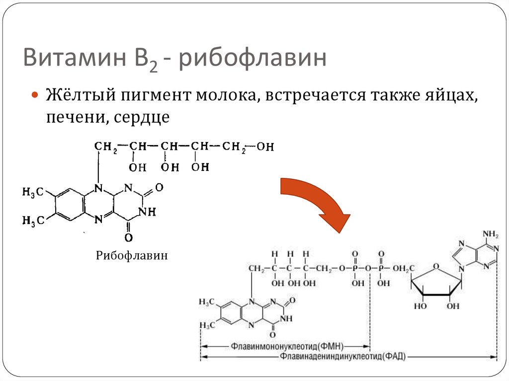 Витамин б 2