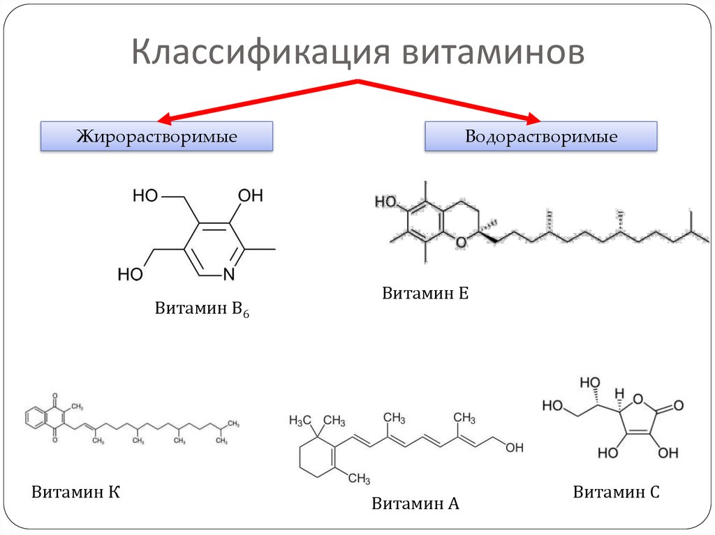 Презентация по химии жирорастворимые витамины