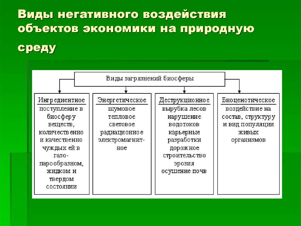 Антропогенное влияние на жизнедеятельность пчел на территории проект