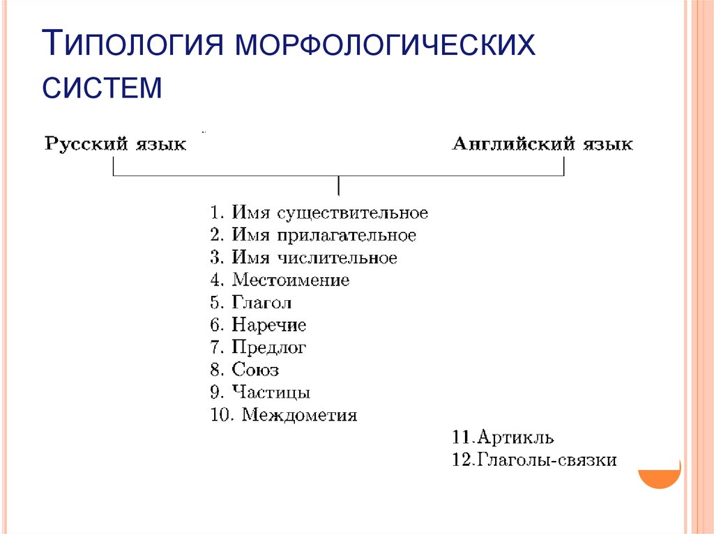 Типология морфологических систем