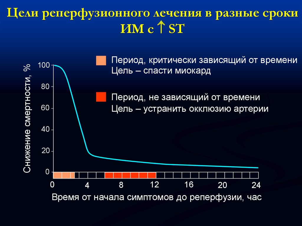 Реперфузионная карта образец