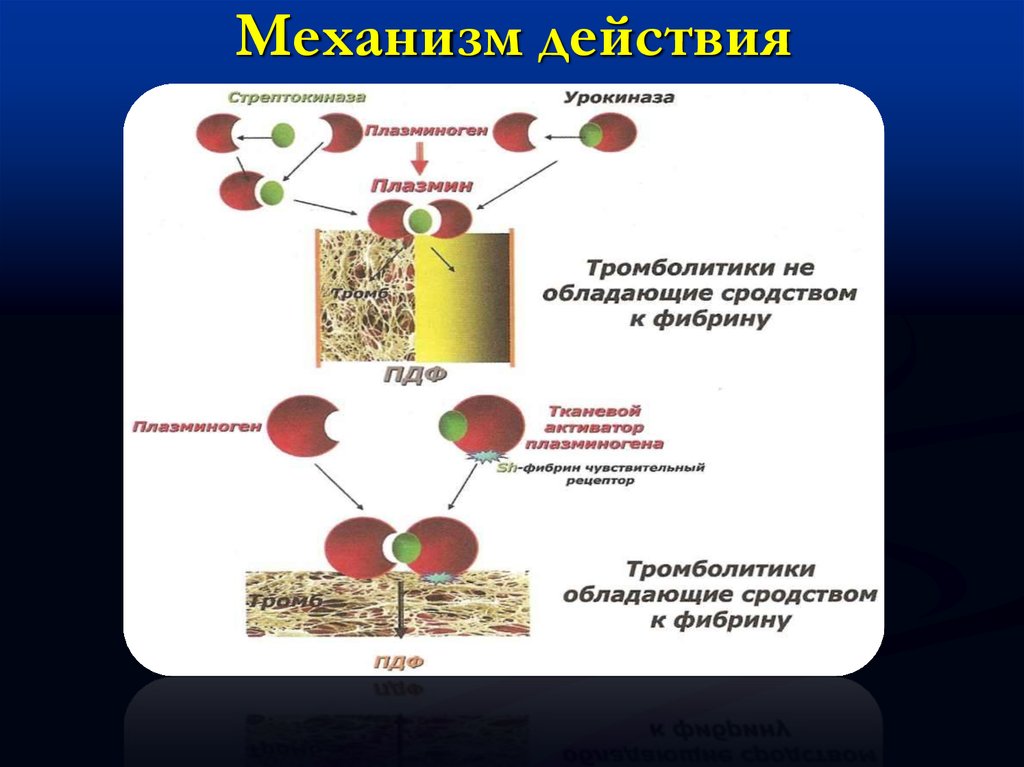 Фибринолитики механизм действия. Тромболитики препараты механизм действия. Механизм действия фибринолитиков схема. Тромболитическая терапия механизм действия. Тромболитики фармакологические эффекты.