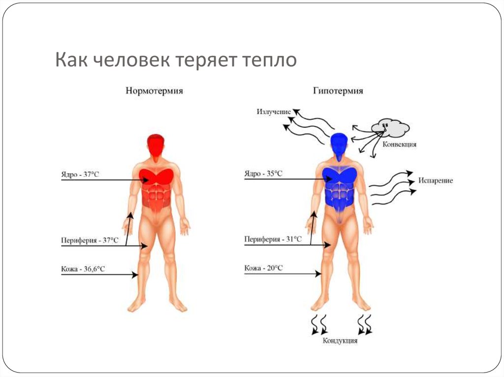 Температура тела после физических нагрузок