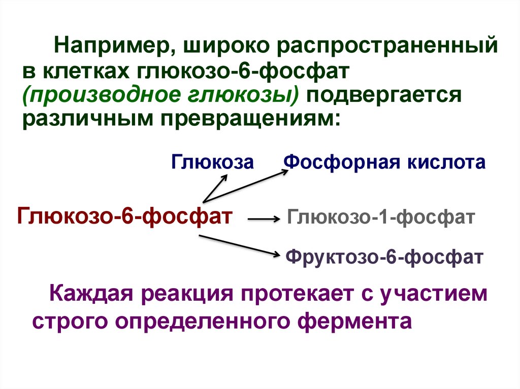 Презентация кинетика ферментативных реакций