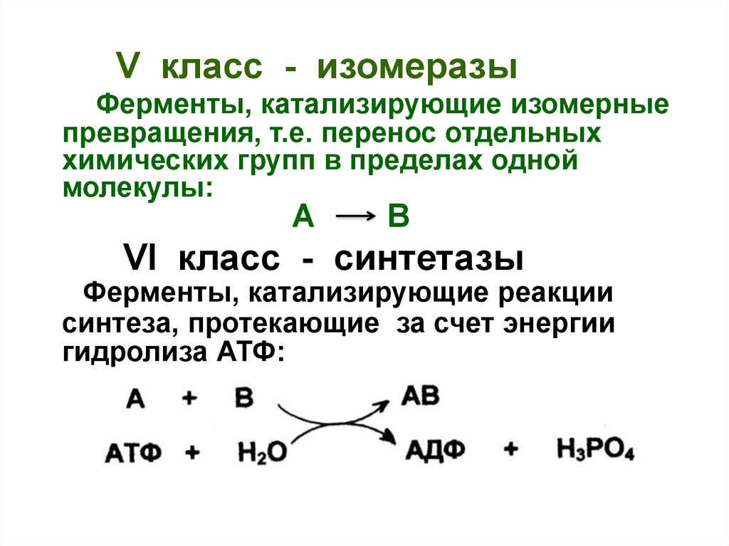Ферменты катализирующие синтез. Схема реакции изомеразы. Изомеразы катализируют реакции. Ферменты катализирующие реакции биосинтеза. Ферментативный катализ реакции.