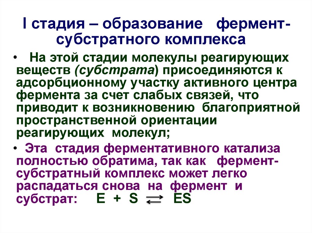 Образование ферментов происходит в процессе