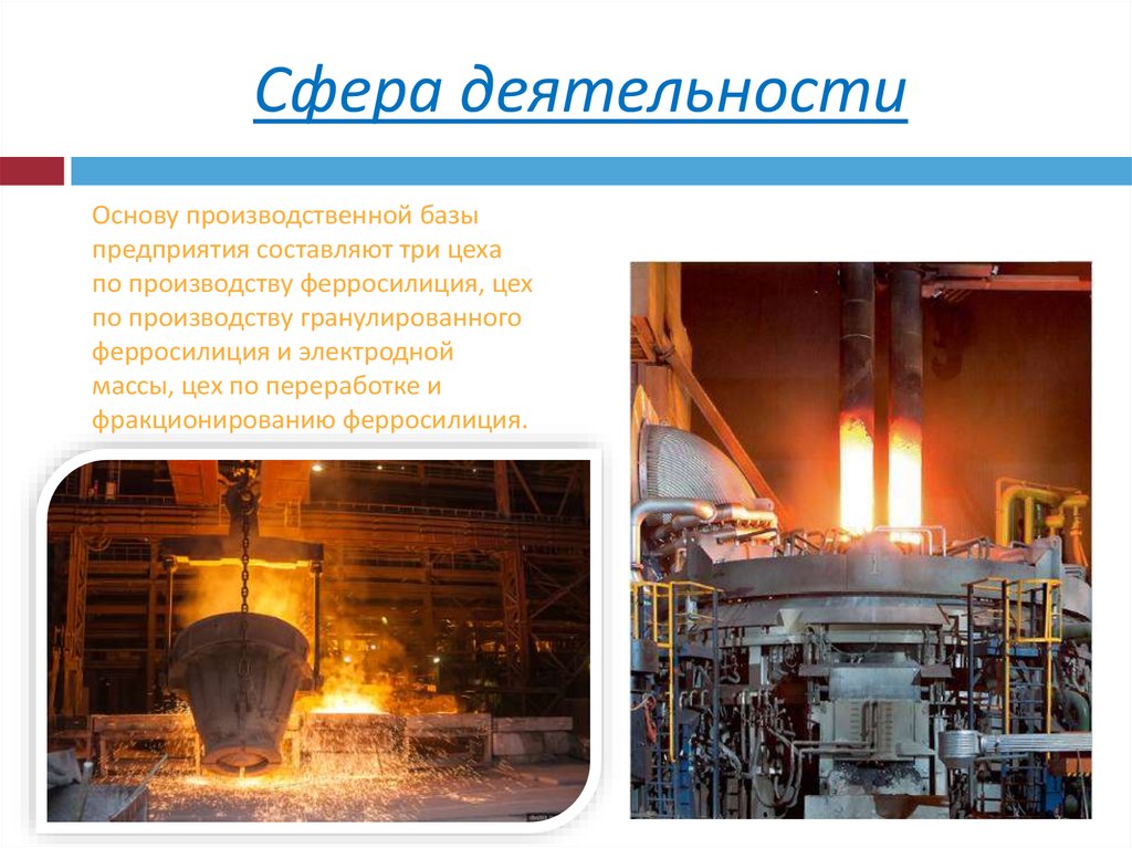 Сфера деятельности