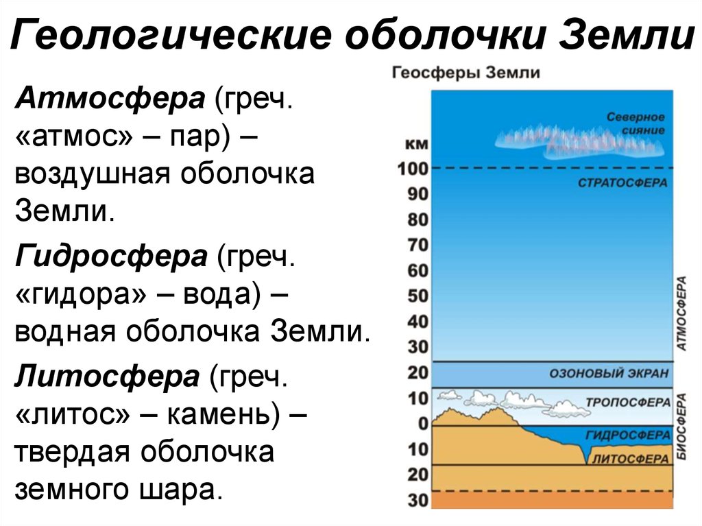 Земная оболочка оболочка жизни