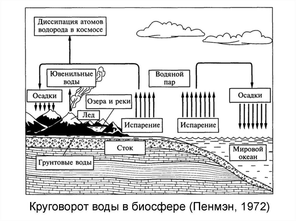 Фф круговорот. Биосфера круговорот воды в биосфере. Круговорот воды в биосфере пенмэн1972. Схема круговорота воды в биосфере схема. Полный цикл круговорота воды в биосфере.
