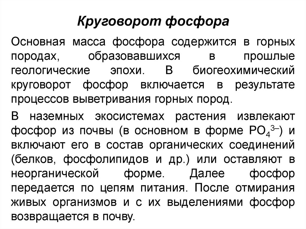 Круговорот фосфора в природе презентация