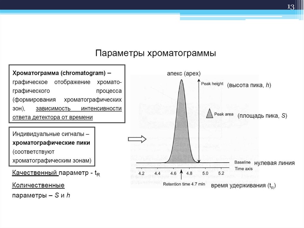 Хроматография пики. Хроматографический пик параметры. Ширина пика в хроматографии. Общий вид хроматограммы и основные хроматографические параметры. Базовая линия хроматографического пика.