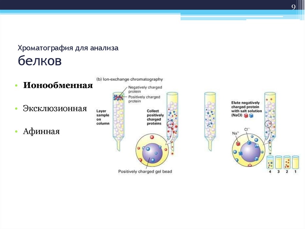 Ионообменная хроматография схема