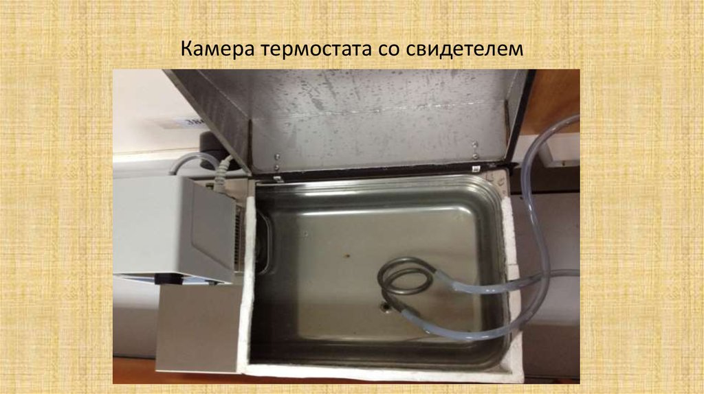 Термостат камера. Термостатная камера. Термостатная камера для культивации циано. Термостатная камера маленькая
