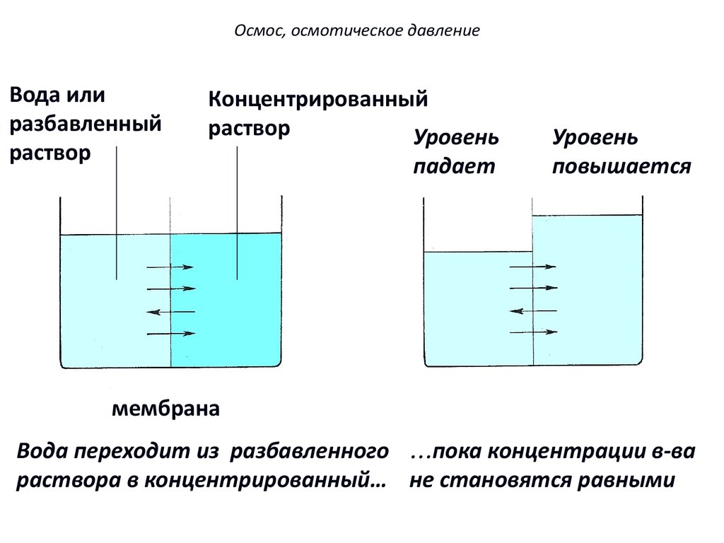 Осмос что это. Осмос. Осмотическое давление. Обратный осмос. Осмос и осмотическое давление. Осмос осмотическое давление растворов. Осмос осмотическое давление в дисперсных системах.