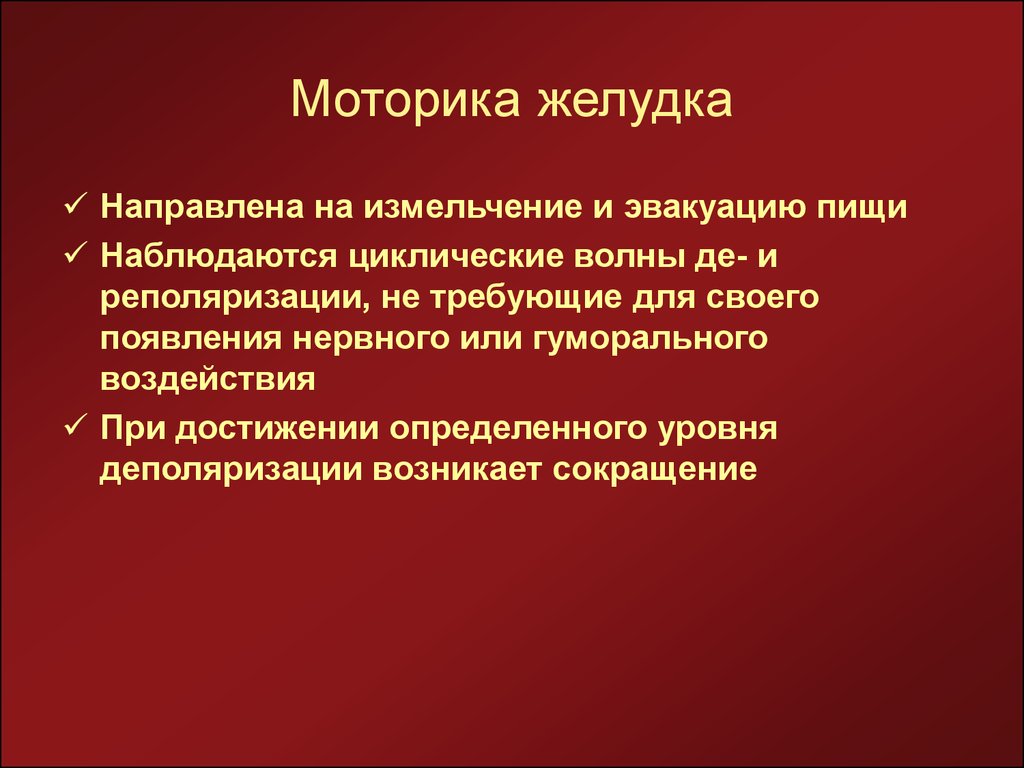 Моторика желудка. Моторика желудка перистальтика. Моторная функция желудка. Фазы моторики желудка.