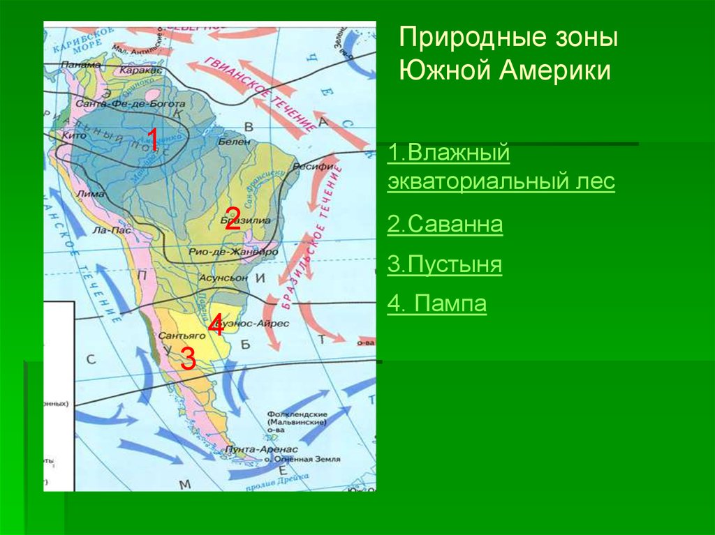 Природные области южной америки. Климатические пояса и природные зоны Южной Америки. Природные зоны Южной Америки Сельва пампа. Природные зоны Южной Америки Льянос пампа Патагония. Карта природных зон Южной Америки.