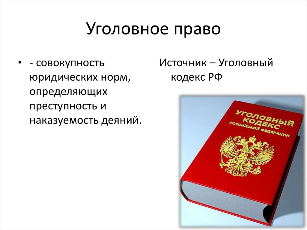 Презентация по теме уголовное право