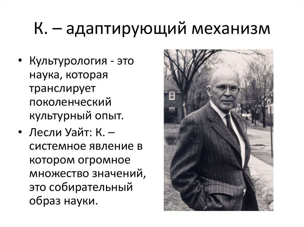 Культурологический подход в социологии обосновал