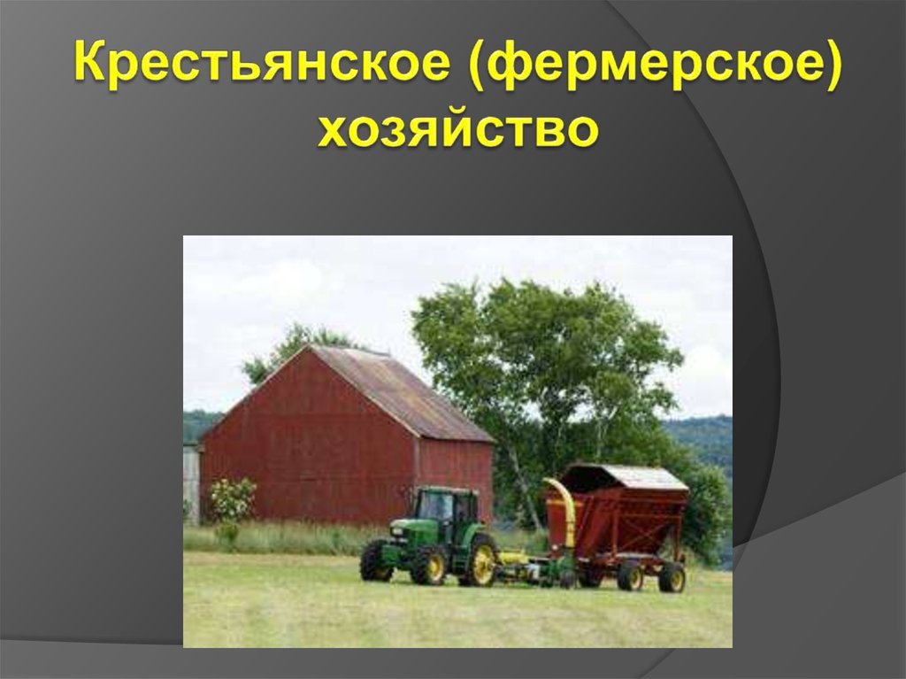 Курсовая работа по теме Понятие и характеристика крестьянских (фермерских) хозяйств