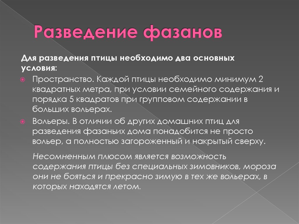 Разведение фазанов