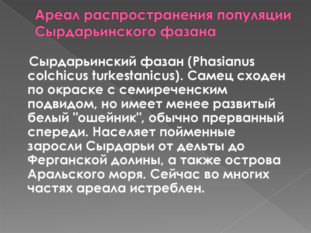 Ареал распространения популяции Сырдарьинского фазана