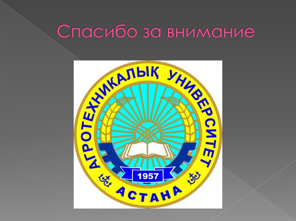 Спасибо за внимание