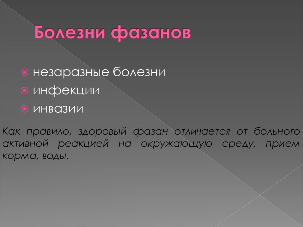 Болезни фазанов