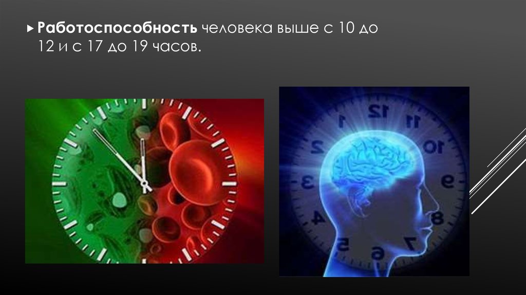 Влияние времени на жизнь человека. Биологические ритмы и работоспособность. Биоритмы и работоспособность человека. Суточные ритмы работоспособности человека. Биологические режимы и трудоспособность человека..